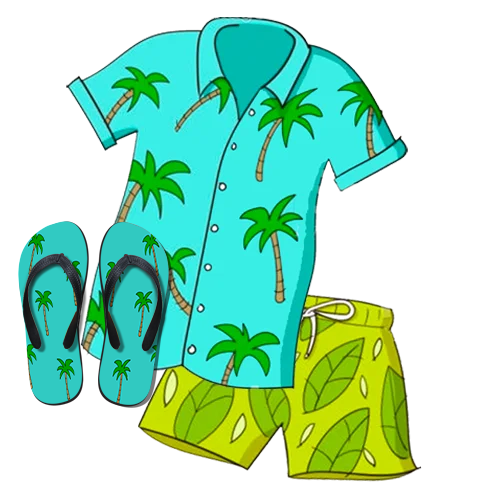 Flip Flops, Shirt&Short