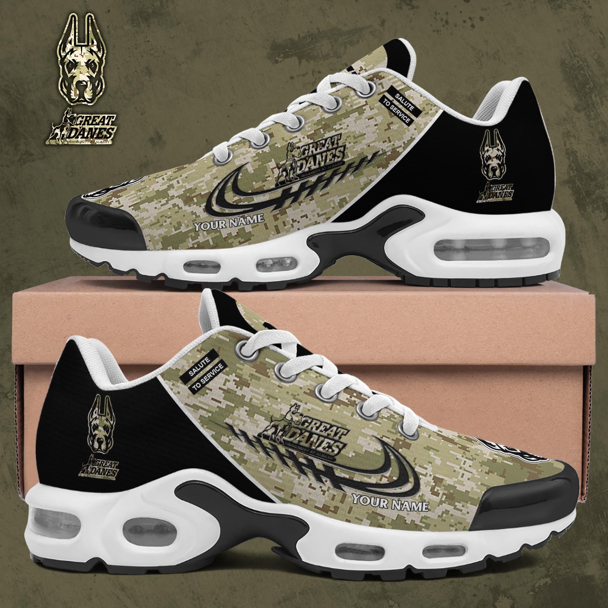 Albany Great Danes TN Shoes 2025 Version Custom Name, Camouflage Shoes, Gifts For Football Lovers