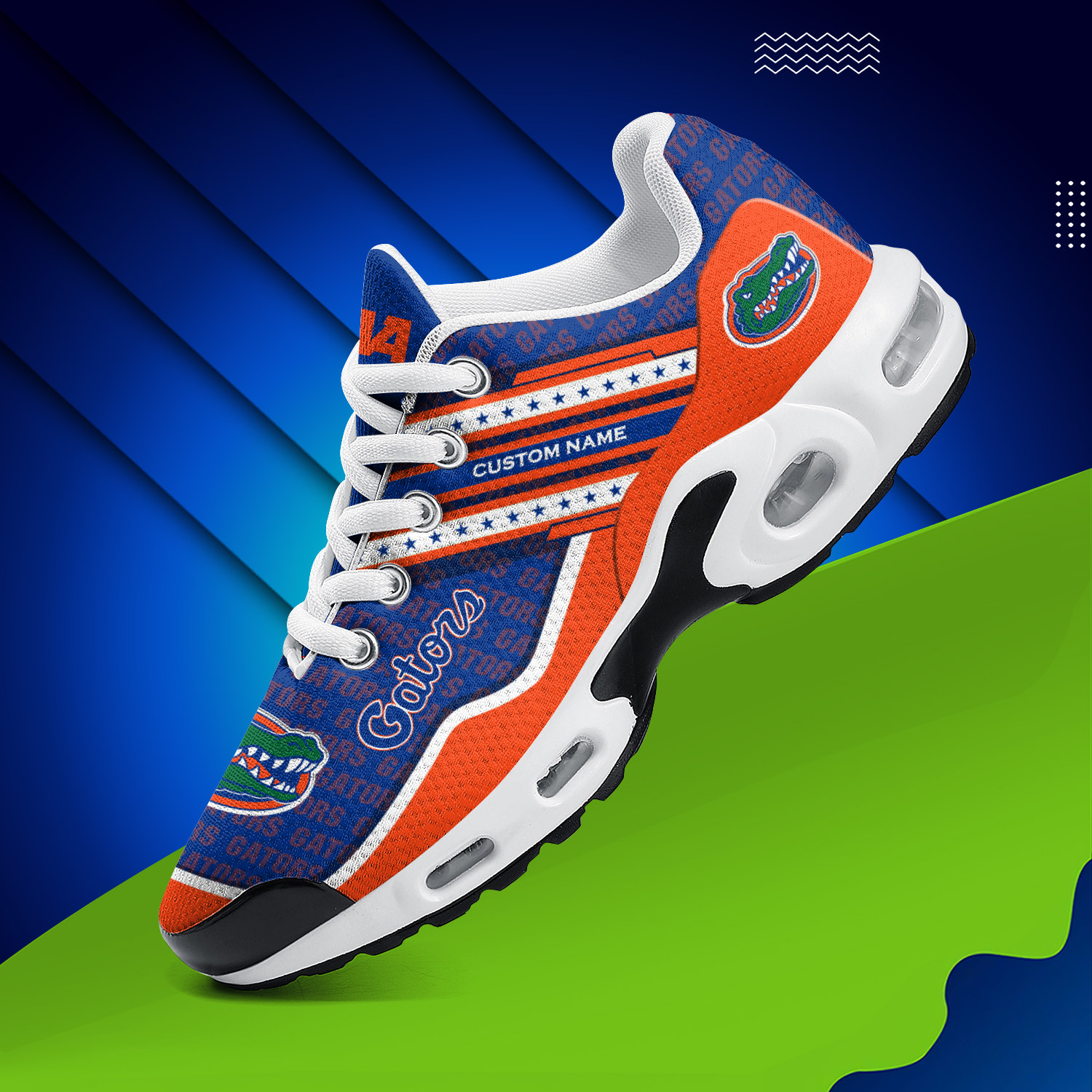 Florida Gators Personalized Name Team Logo Mix Colors Star Line TN Air Max Shoes Air Cushion Sneakers