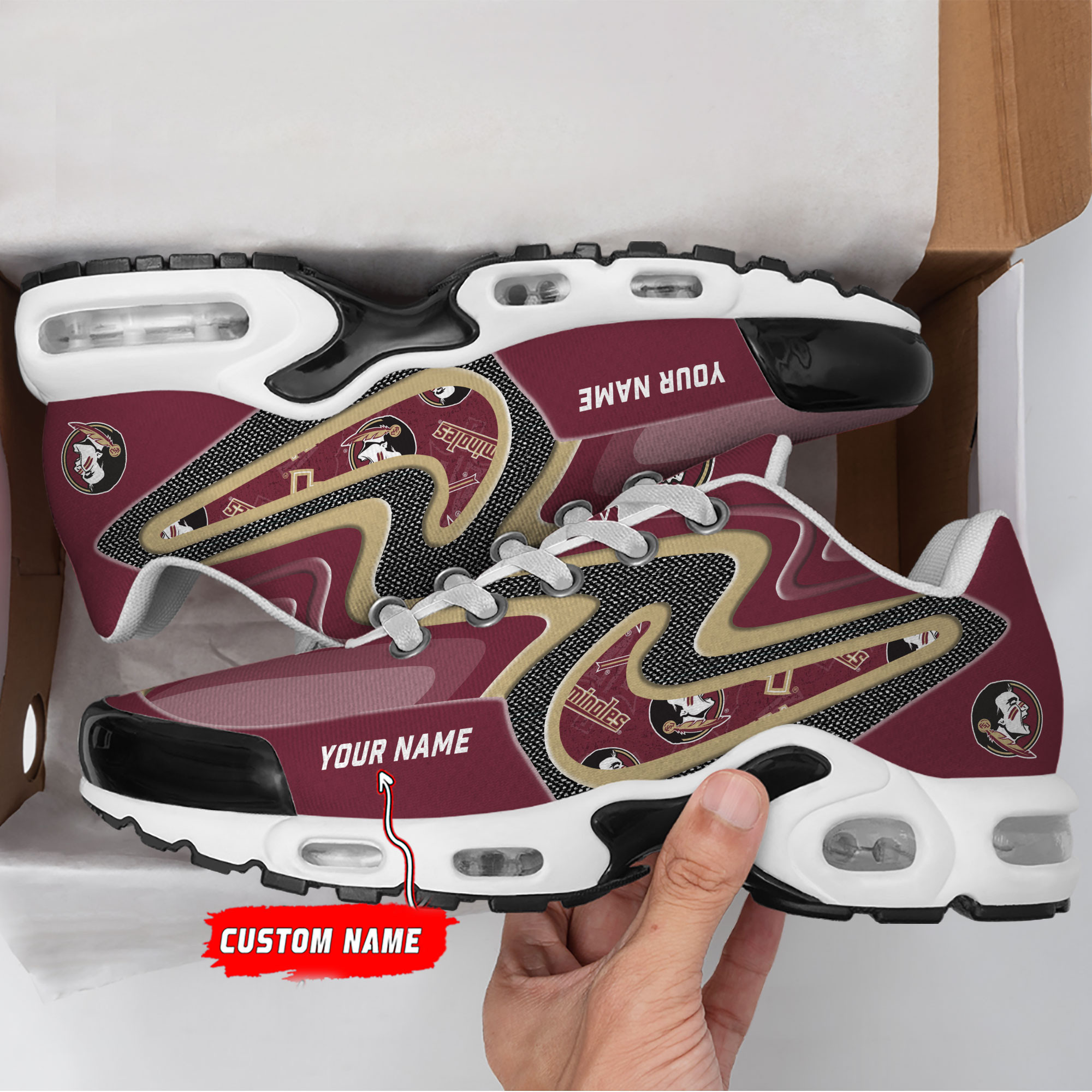 Florida State Seminoles Personalized Name Team Checkmark Logo Mix Colors Stitch Line TN Shoes Air Cushion Sneakers