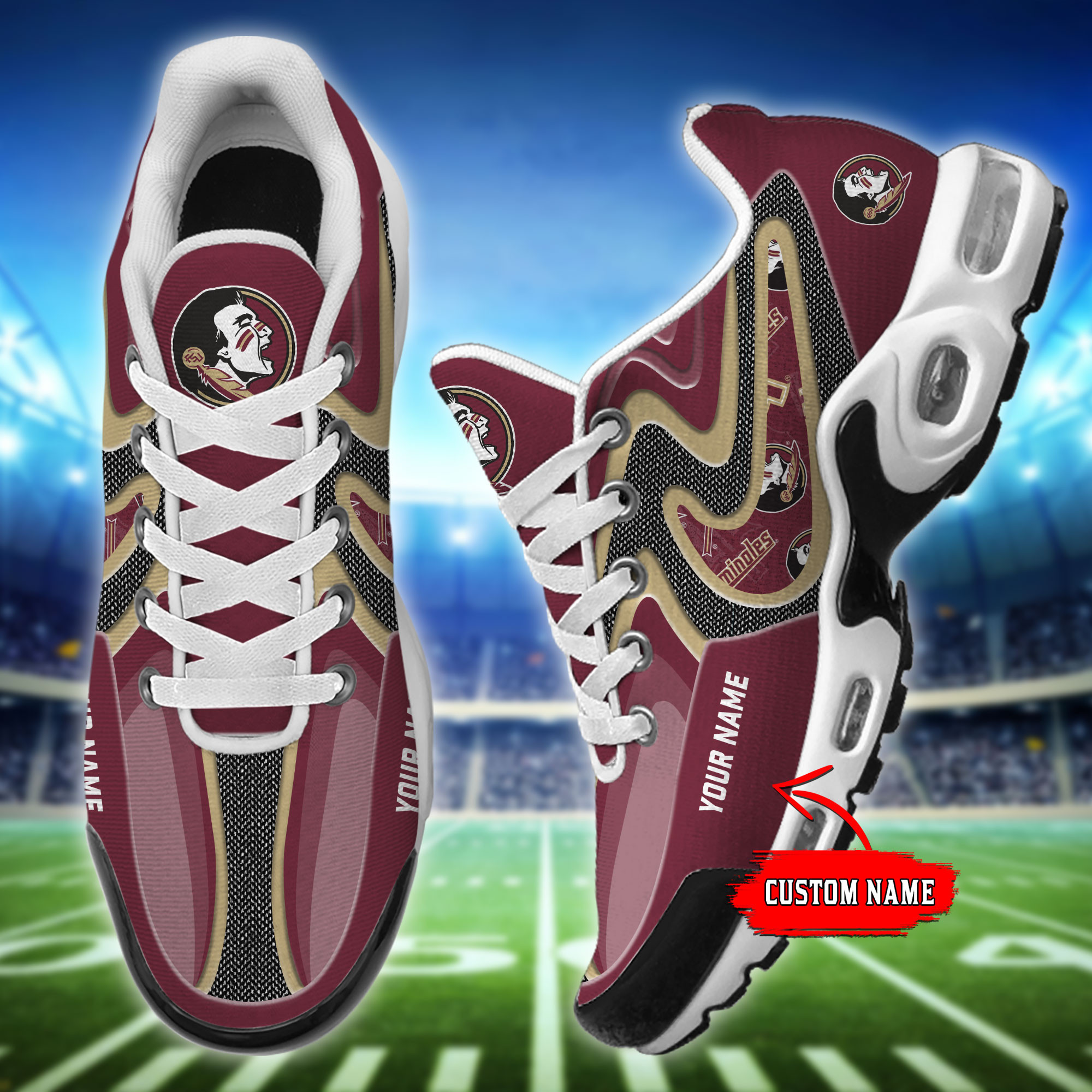 Florida State Seminoles Personalized Name Team Checkmark Logo Mix Colors Stitch Line TN Shoes Air Cushion Sneakers