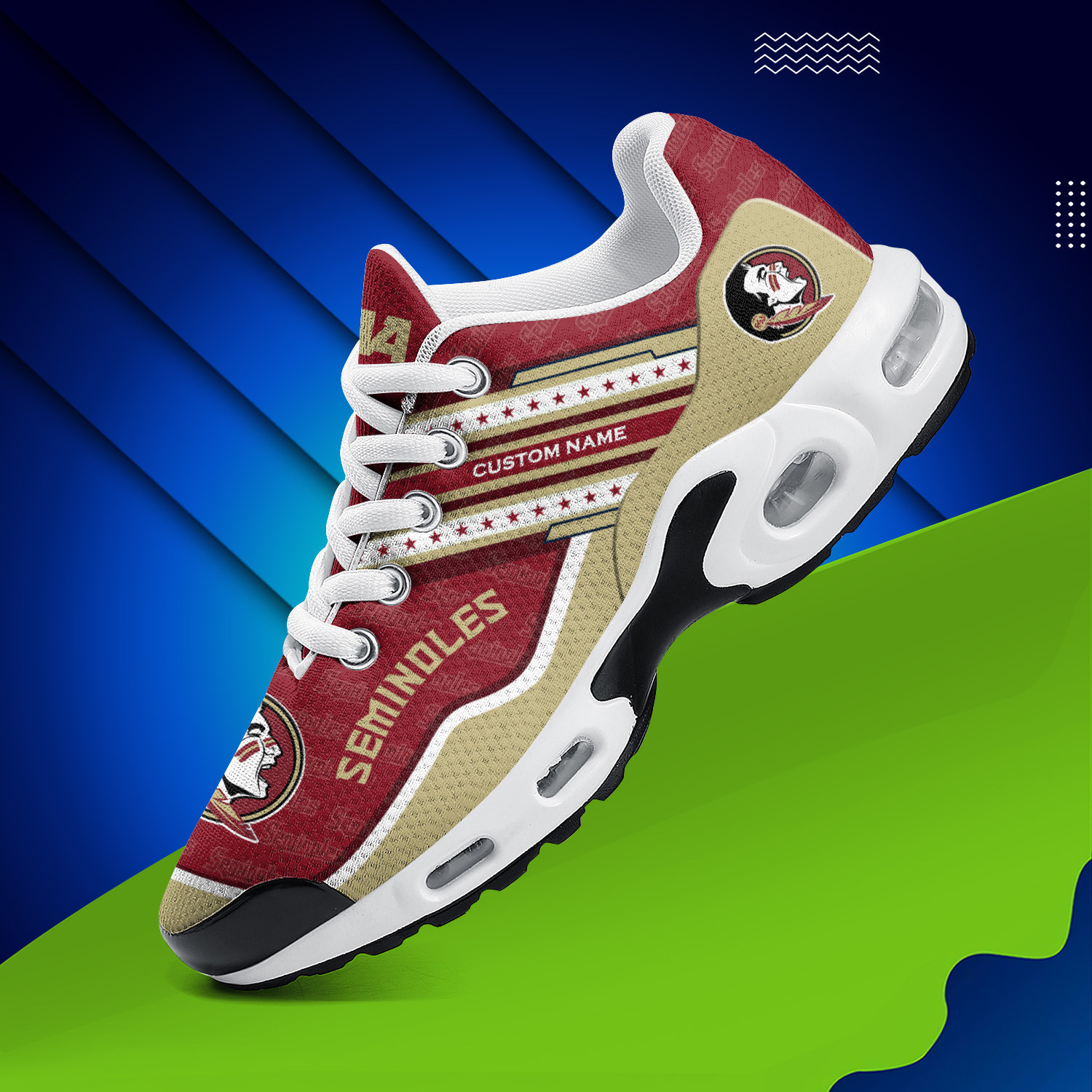 Florida State Seminoles Personalized Name Team Logo Mix Colors Star Line TN Shoes Air Cushion Sneakers